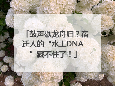 鼓声歇龙舟归？宿迁人的“水上DNA”藏不住了！