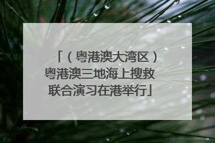 （粤港澳大湾区）粤港澳三地海上搜救联合演习在港举行