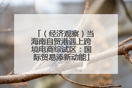 （经济观察）当海南自贸港遇上跨境电商综试区：国际贸易添新动能