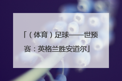 （体育）足球——世预赛：英格兰胜安道尔
