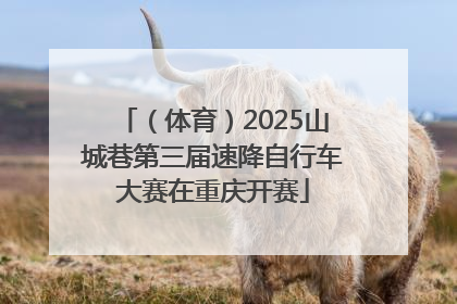 （体育）2025山城巷第三届速降自行车大赛在重庆开赛