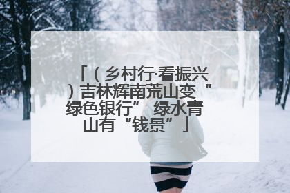 （乡村行·看振兴）吉林辉南荒山变“绿色银行” 绿水青山有“钱景”