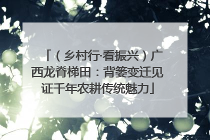 （乡村行·看振兴）广西龙脊梯田：背篓变迁见证千年农耕传统魅力