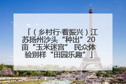 （乡村行·看振兴）江苏扬州沙头“种出”20亩“玉米迷宫” 民众体验别样“田园乐趣”