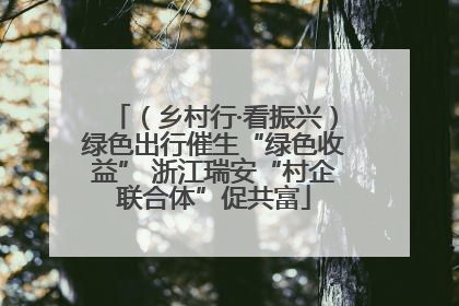 （乡村行·看振兴）绿色出行催生“绿色收益” 浙江瑞安“村企联合体”促共富
