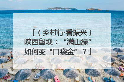 （乡村行·看振兴）陕西留坝：“满山绿”如何变“口袋金”？
