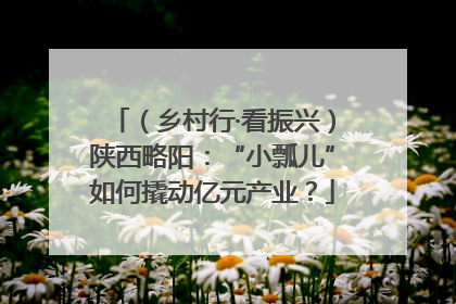 （乡村行·看振兴）陕西略阳：“小瓢儿”如何撬动亿元产业？