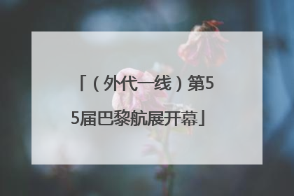 （外代一线）第55届巴黎航展开幕