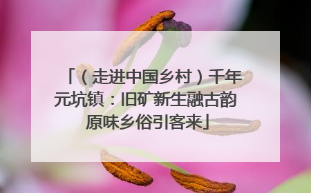 （走进中国乡村）千年元坑镇：旧矿新生融古韵 原味乡俗引客来