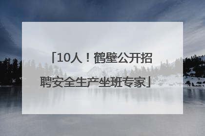10人！鹤壁公开招聘安全生产坐班专家