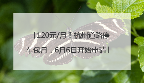 120元/月！杭州道路停车包月，6月6日开始申请