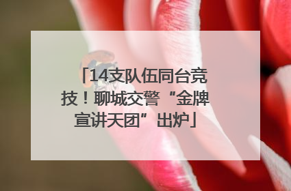 14支队伍同台竞技！聊城交警“金牌宣讲天团”出炉