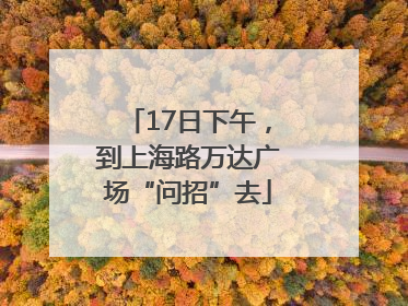 17日下午，到上海路万达广场“问招”去