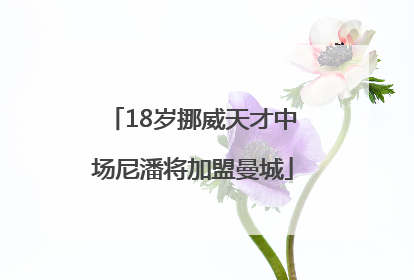 18岁挪威天才中场尼潘将加盟曼城