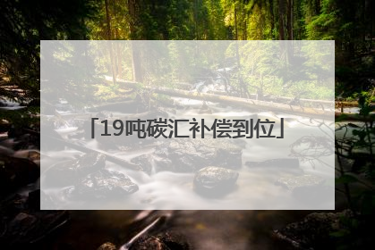 19吨碳汇补偿到位
