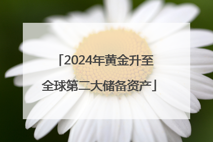 2024年黄金升至全球第二大储备资产