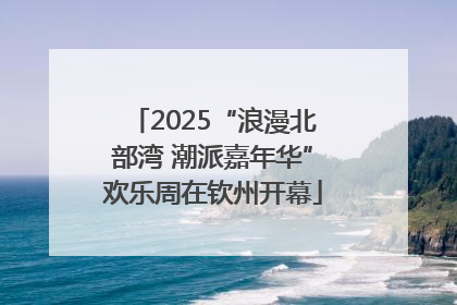 2025“浪漫北部湾 潮派嘉年华”欢乐周在钦州开幕