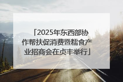 2025年东西部协作帮扶促消费暨糯食产业招商会在贞丰举行