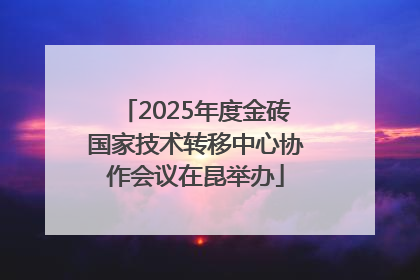 2025年度金砖国家技术转移中心协作会议在昆举办