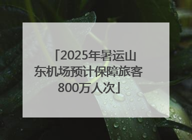 2025年暑运山东机场预计保障旅客800万人次