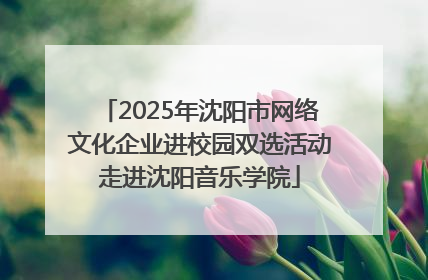 2025年沈阳市网络文化企业进校园双选活动走进沈阳音乐学院