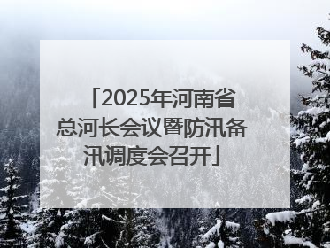 2025年河南省总河长会议暨防汛备汛调度会召开