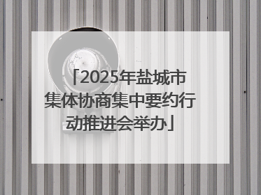 2025年盐城市集体协商集中要约行动推进会举办