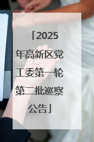 2025年高新区党工委第一轮第二批巡察公告