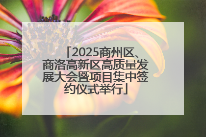 2025商州区、商洛高新区高质量发展大会暨项目集中签约仪式举行