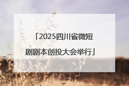 2025四川省微短剧剧本创投大会举行