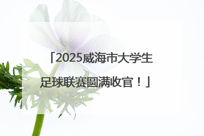 2025威海市大学生足球联赛圆满收官！