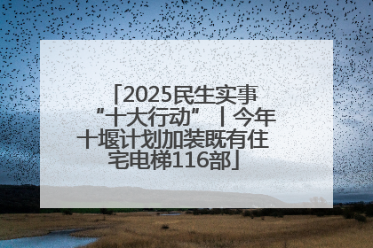 2025民生实事“十大行动”丨今年十堰计划加装既有住宅电梯116部