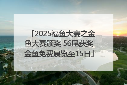 2025福鱼大赛之金鱼大赛颁奖 56尾获奖金鱼免费展览至15日
