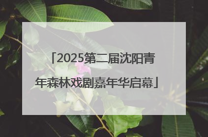 2025第二届沈阳青年森林戏剧嘉年华启幕