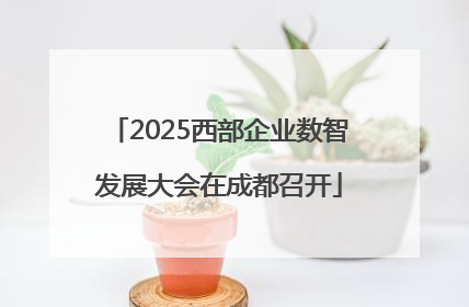 2025西部企业数智发展大会在成都召开