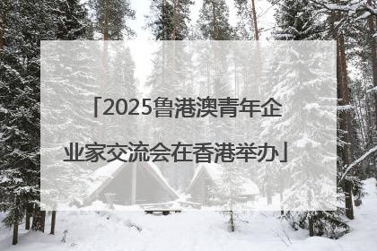 2025鲁港澳青年企业家交流会在香港举办