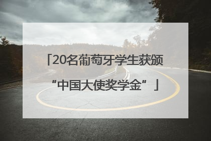 20名葡萄牙学生获颁“中国大使奖学金”