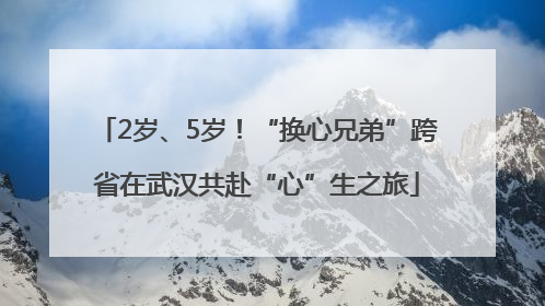 2岁、5岁！“换心兄弟”跨省在武汉共赴“心”生之旅