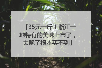 35元一斤！浙江一地特有的美味上市了，去晚了根本买不到