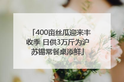 400亩丝瓜迎来丰收季 日供3万斤为沪苏锡常餐桌添鲜