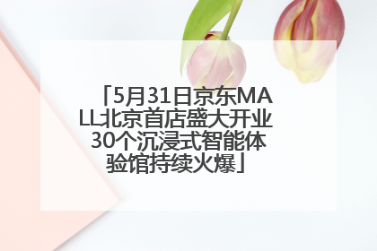 5月31日京东MALL北京首店盛大开业 30个沉浸式智能体验馆持续火爆
