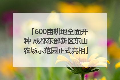 600亩耕地全面开种 成都东部新区东山农场示范园正式亮相