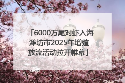 6000万尾对虾入海 潍坊市2025年增殖放流活动拉开帷幕