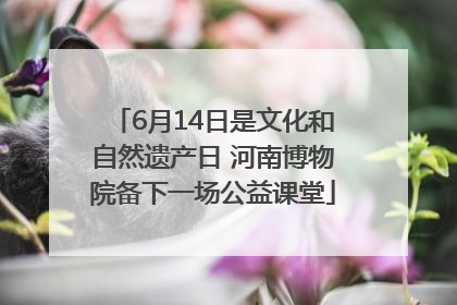 6月14日是文化和自然遗产日 河南博物院备下一场公益课堂