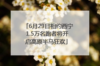 6月29日相约西宁 1.5万名跑者将开启高原半马狂欢