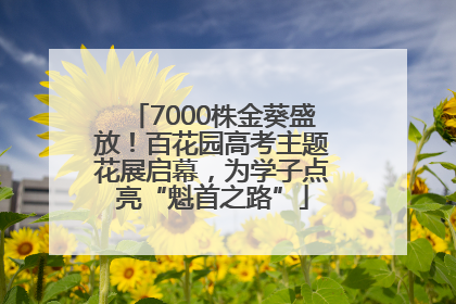7000株金葵盛放！百花园高考主题花展启幕，为学子点亮“魁首之路”