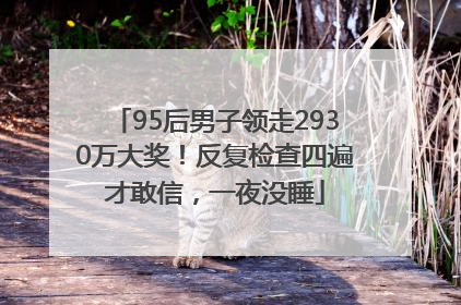 95后男子领走2930万大奖！反复检查四遍才敢信，一夜没睡