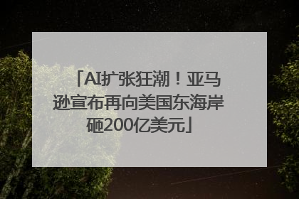 AI扩张狂潮！亚马逊宣布再向美国东海岸砸200亿美元