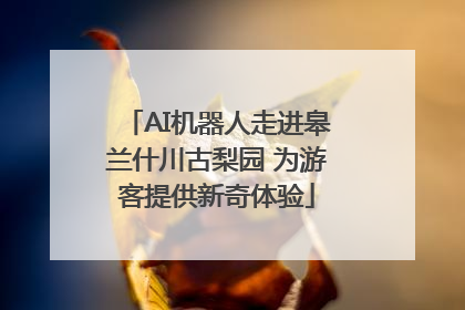 AI机器人走进皋兰什川古梨园 为游客提供新奇体验