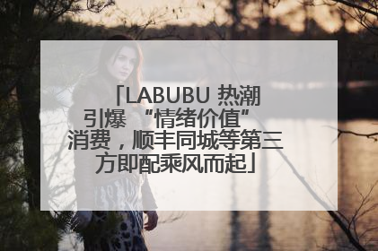 LABUBU 热潮引爆 “情绪价值” 消费，顺丰同城等第三方即配乘风而起